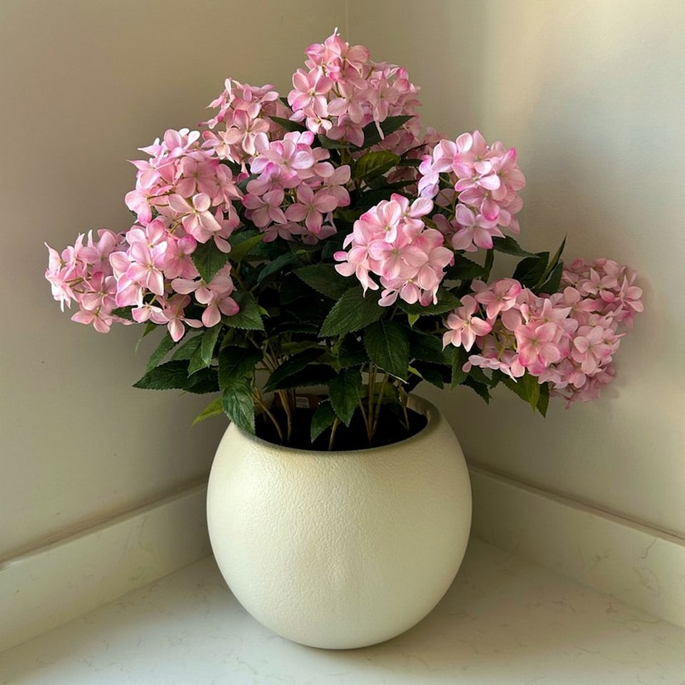 image 1 of Large Pink Hydrangea Plant in Pot - Plastic - L55 x W55 x H71 cm - Pink