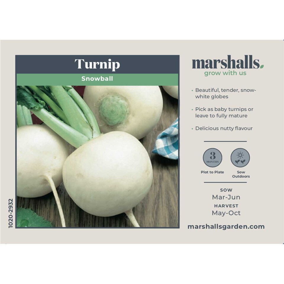 image 1 of Marshalls Garden Turnip Seeds Snowball, 2000 Seeds, Quick-cropping White Globe