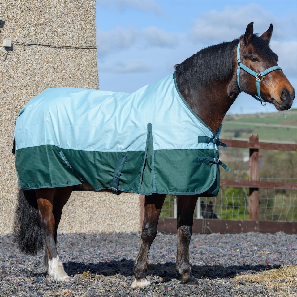 image 1 of eQuitack 600D Waterproof Horse Turnout Rug 0g No Fill Regular Neck Pista Aqua/Bottle Green 6'0''