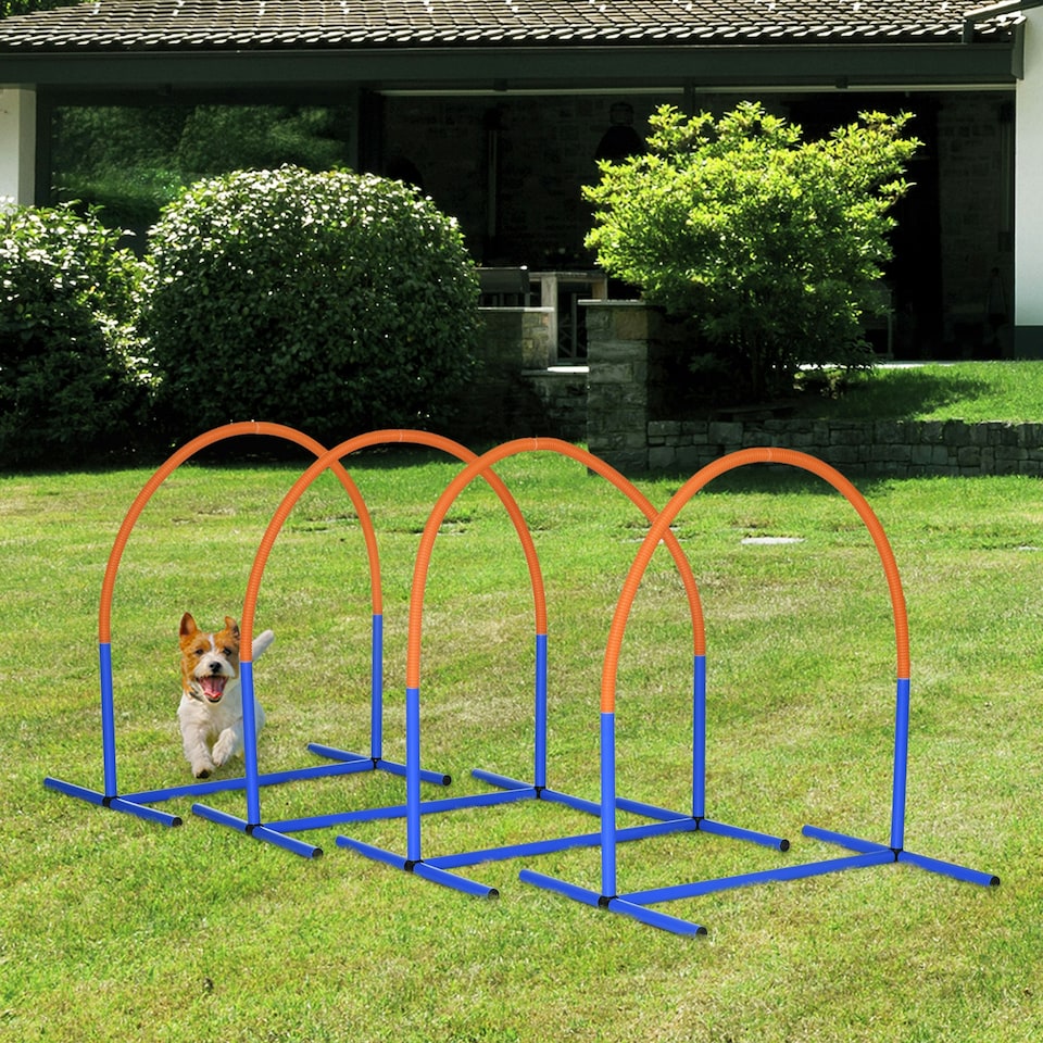 image 1 of PawHut Dog Agility Training Equipment Pet Agility Training Set with Carry Bag