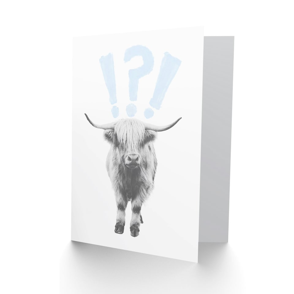 image 1 of Scottish Highland Hairy Surprised Expression Scottish Scotland Card