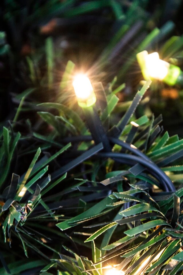 image 1 of Christmas Tree World  12ft/360cm Pre-lit Majestic Dew Pine Christmas Tree