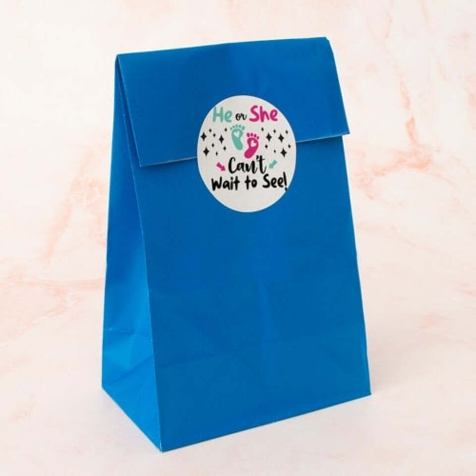 image 1 of Can't Wait to See Gender Reveal Round Stickers 60mm - Sheet of 12
