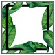 image 3 of Botanical & black border (Picture Frame) Black | XS