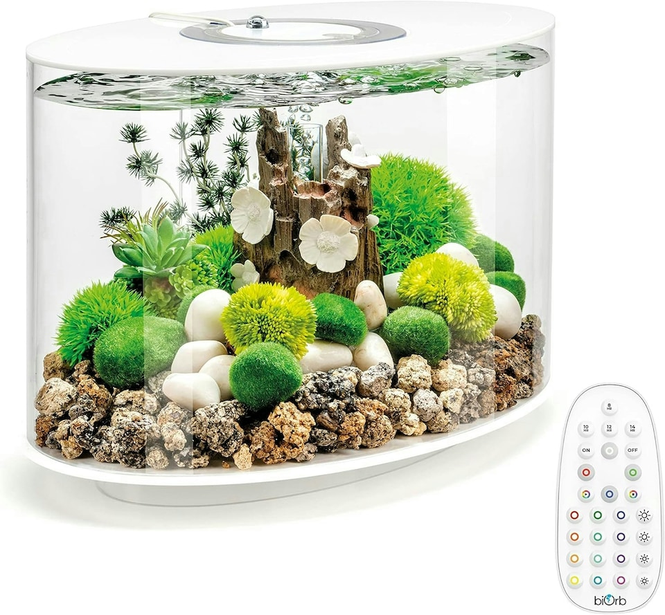 image 1 of biOrb LOOP MCR 15L Aquarium | Multi