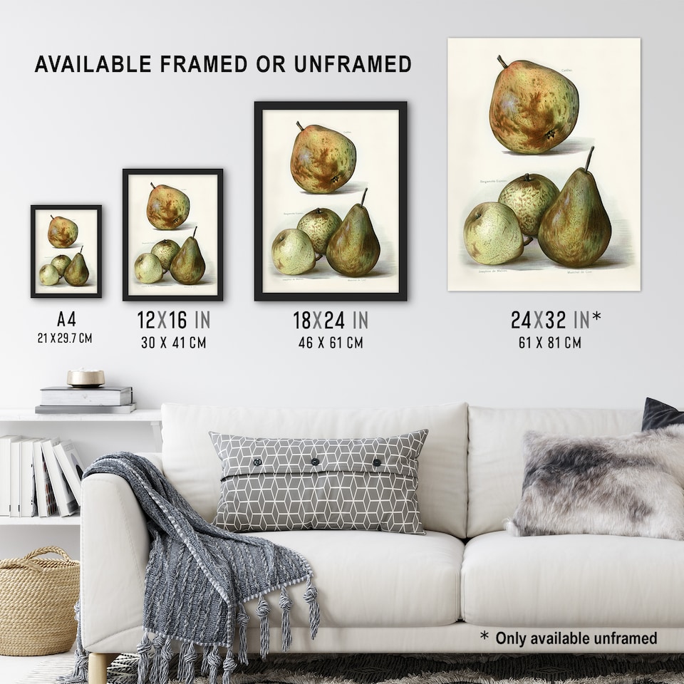 image 1 of Pear Varieties Vintage Fruit Illustration Wright Wall Art Poster Print 12X16"