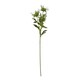 image 1 of Hill Interiors Sea Holly Spray Artificial Flower - Green - One Size