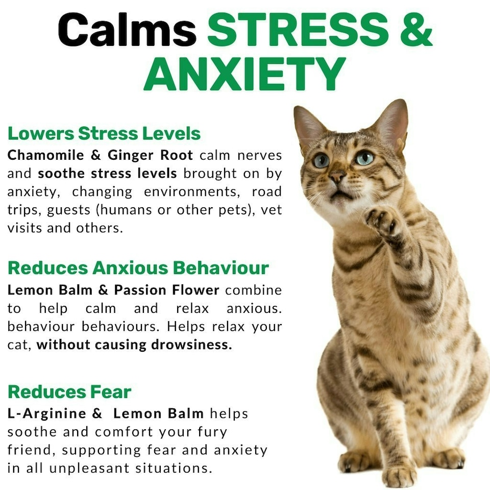 image 1 of Calming Chew for Cats