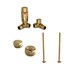 Polished Brass