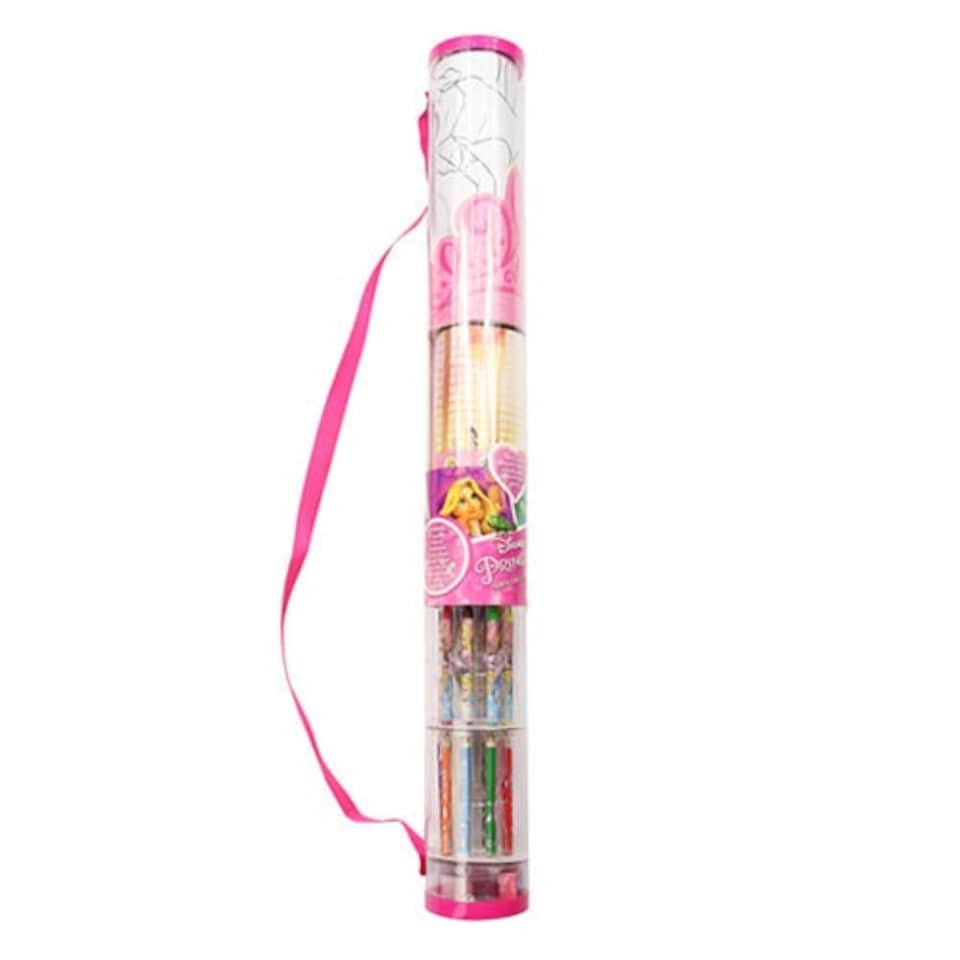 Disney Princess Super Art Tube Pink | Princess | A4