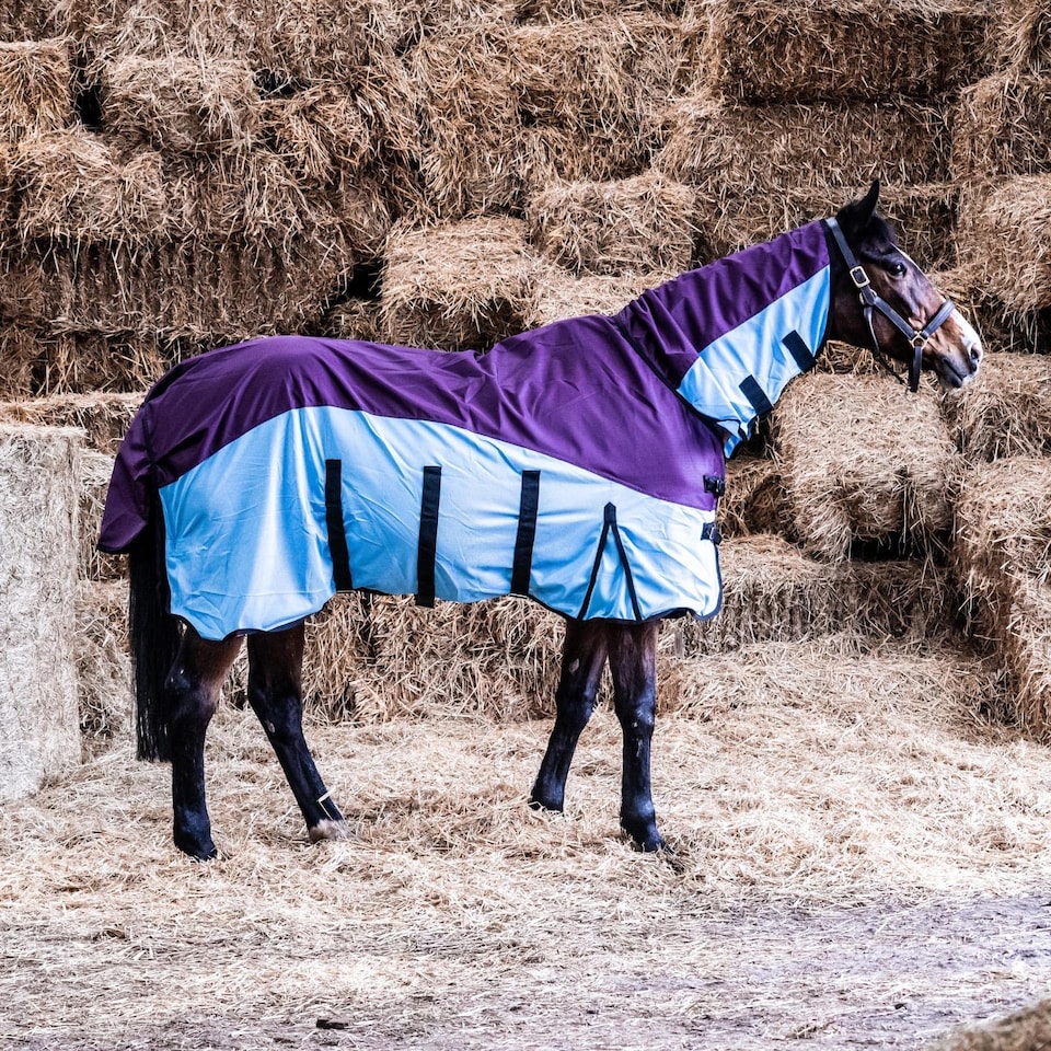 image 1 of eQuitack 600D 2 in 1 Waterproof Fly Turnout Mesh Horse Rug Fixed Neck Burgundy/Blue 6'9''