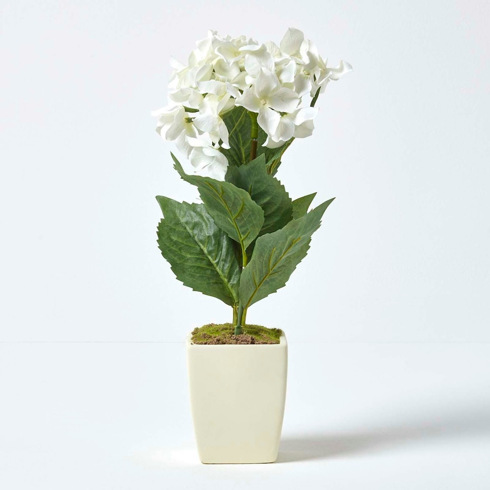 image 1 of Homescapes Small Cream Artificial Hydrangea Flower in Cream Pot, 38 cm Tall