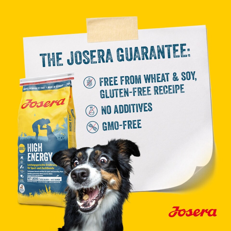 image 1 of Josera High Protein Adult Chicken complete dog food | Lots of meat | For active working and sporting dogs | Gluten-free | Salmon Oil Omega 3 | 0.9kg
