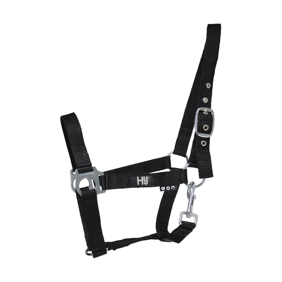 Hy Economy Plus Head Collar | Blue | Petrol | One Size | 1