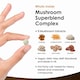 image 2 of Mushroom Complex 1800mg - 120 High Strength Tablets