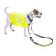 image 1 of Petface Reflective Dog Coat Lightweight Small