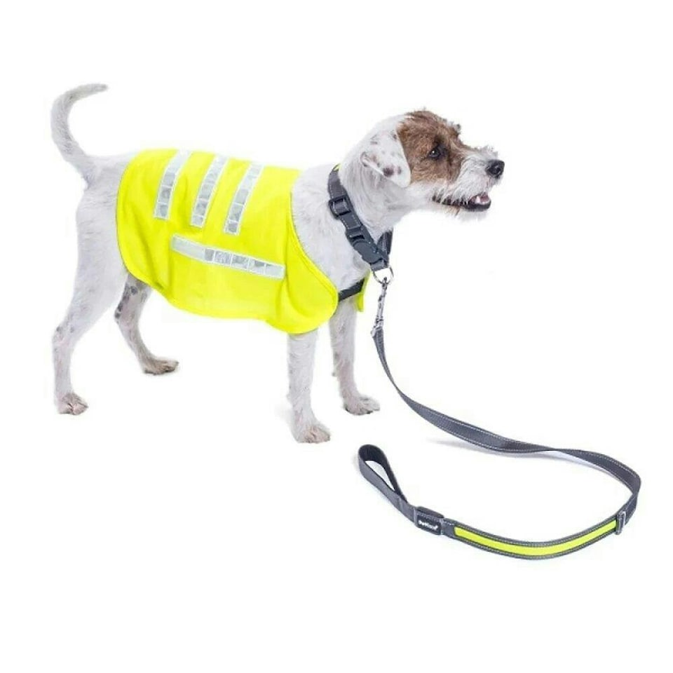 image 1 of Petface Reflective Dog Coat Lightweight Small