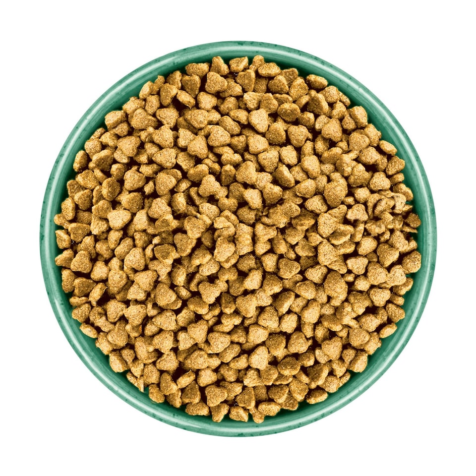 image 1 of James Wellbeloved 2kg Puppy Dry Food and 48 Wet Pouches in Turkey Bundle