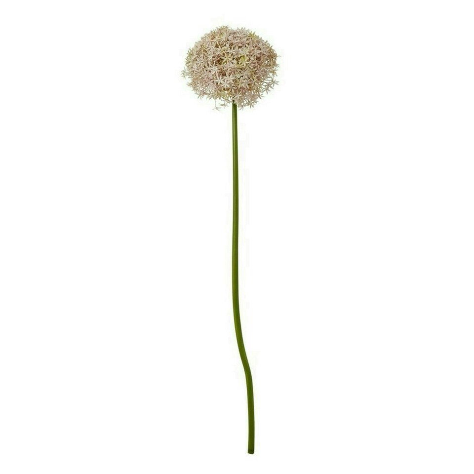 image 1 of Giant Allium (Single Stem Flower) - Plastic - L21 x W21 x H90 cm - Lilac