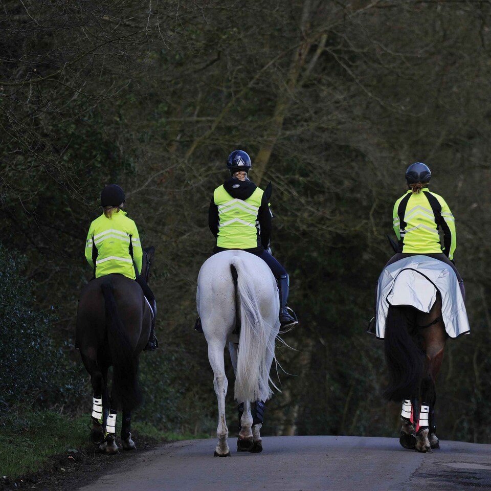 image 1 of Weatherbeeta Reflective Wrap Around Horse Exercise Sheet | Silver | Silver/Black | S | 1