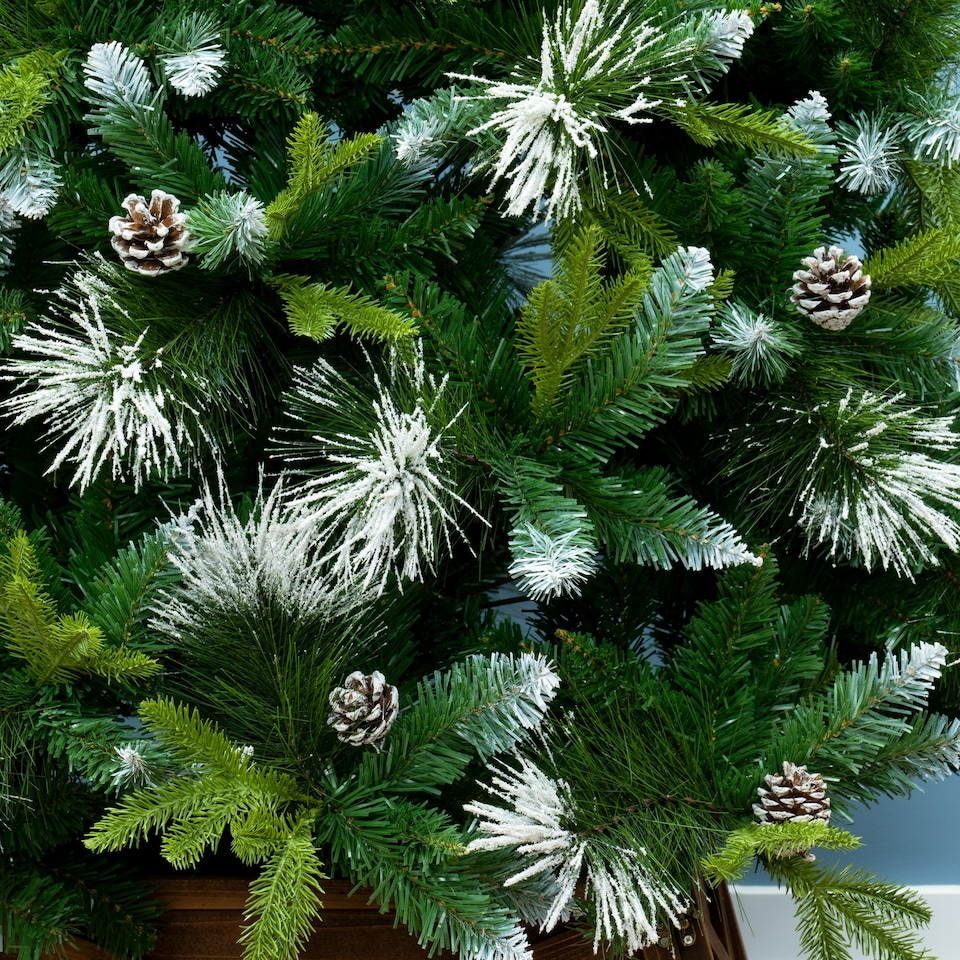 image 1 of Christmas Tree World  9ft/270cm Snowy Scots Pine Christmas Tree