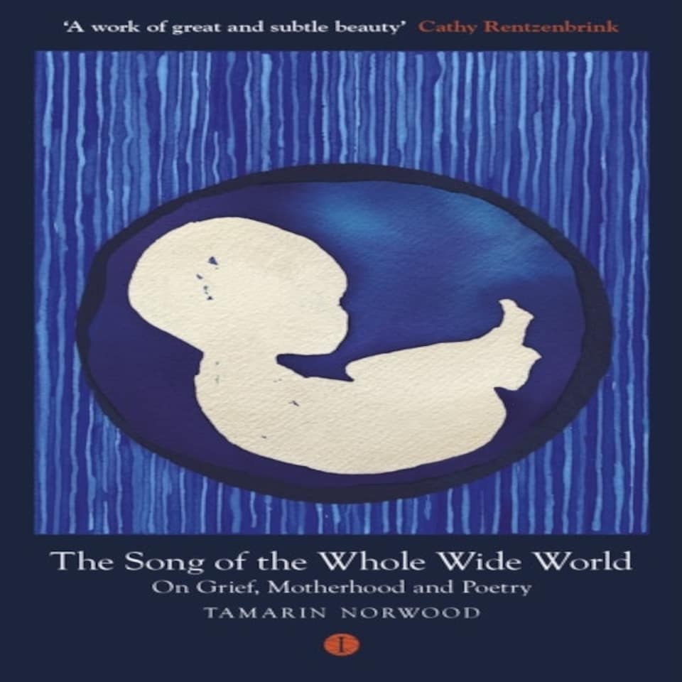Song Of The Whole Wide World