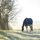 image 5 of LeMieux Arika Storm-Tek Rug 350g Blue | 7ft 0