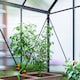 image 9 of Outsunny Polycarbonate Walk-in Garden Greenhouse w/ Sliding Door Grey | Grey | Grey | 1