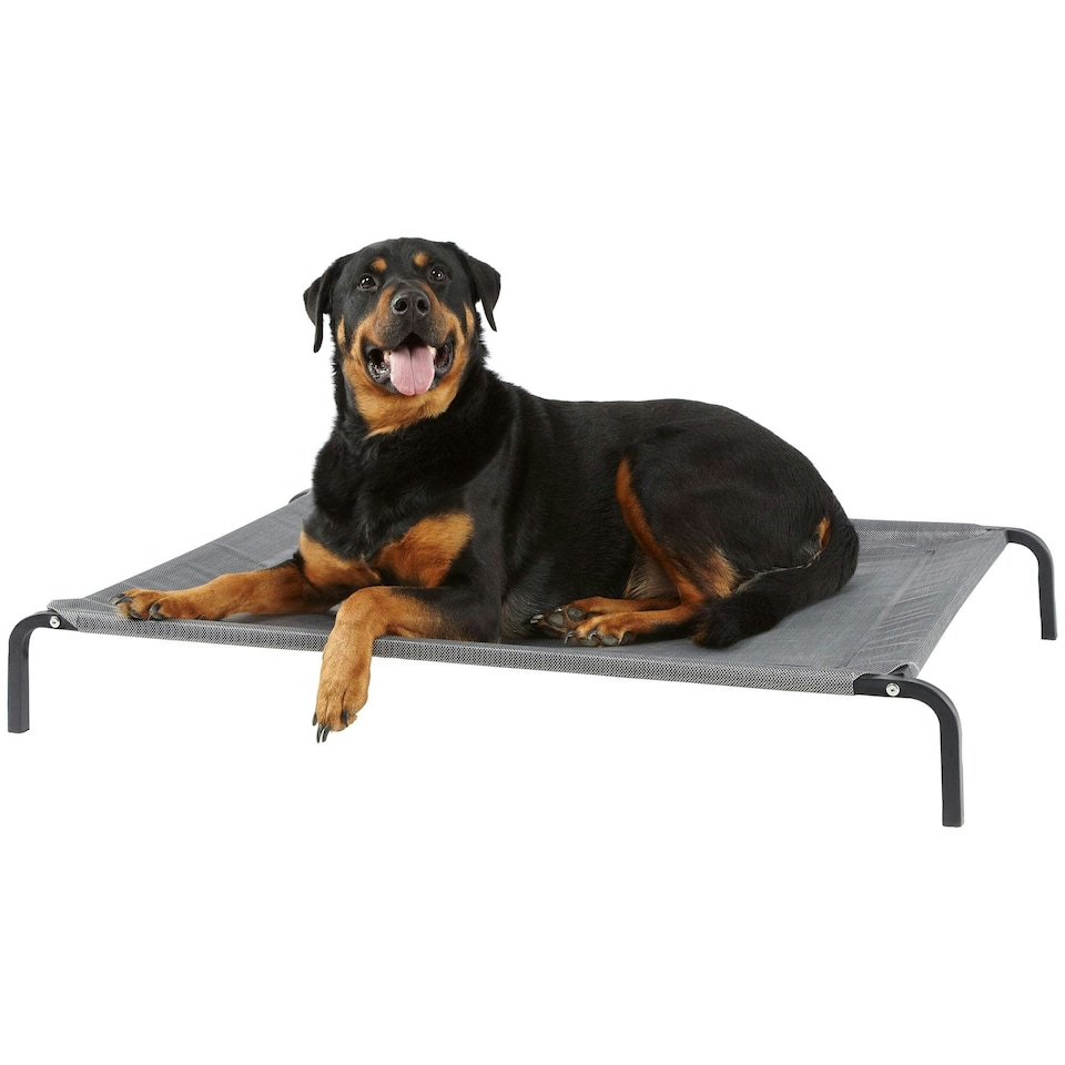 image 1 of Raised Dog Bed, Elevated, Waterproof Outdoor - Bunty Grey | S