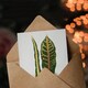 image 3 of AF Lydon Benjamin Fawcett Croton Plant Leaf Varieties Art Card