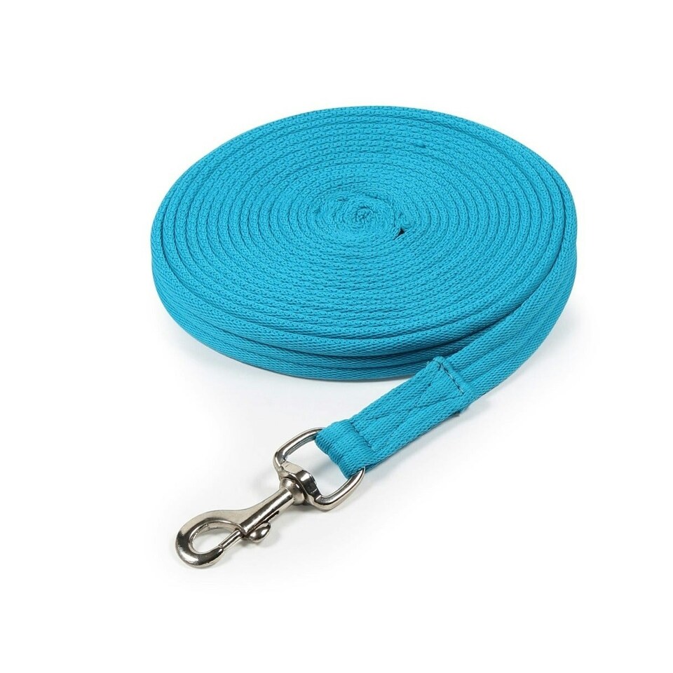 Wessex Web Horse Lunge Line - Blue - 8m