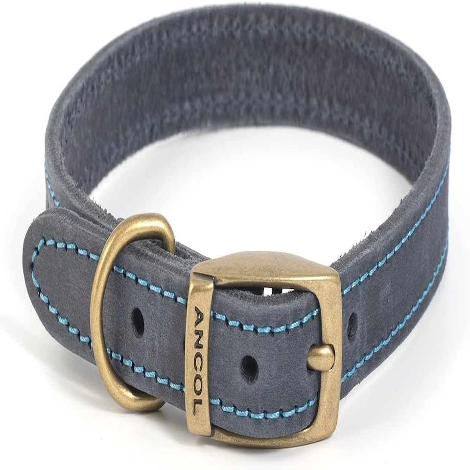 Ancol Timberwolf Leather Collar Blue Size 5 Blue | M