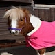 image 3 of Rhinegold Unicorn Embroidered Fleece Rug Blue | Colour: Aqua
Size: 3ft 9