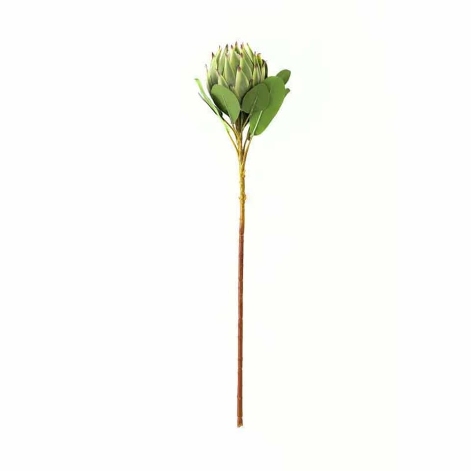 image 1 of Large Protea Artificial Plant - Plastic - L21 x W21 x H73 cm - Green