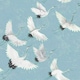 image 1 of NuWallpaper NU2680 Halcyon Peel & Stick Wallpaper, Blue Multi