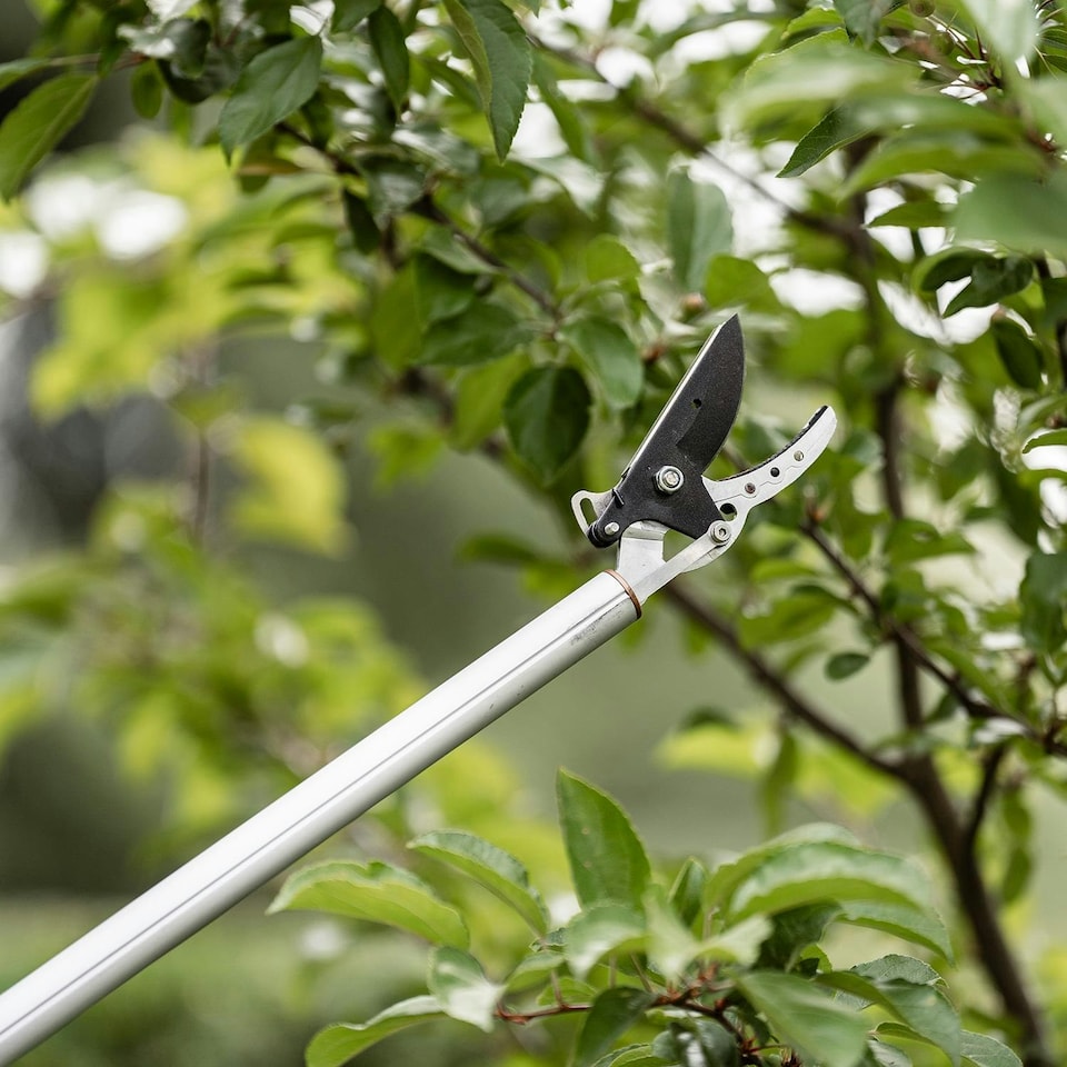 image 1 of Kent & Stowe KS Surecut Long Reach Pruner, 1.3m - 10mm Cutting Diameter