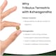 image 9 of Tribulus Terrestris 6000mg Tablets With Ashwagandha 120 Fill