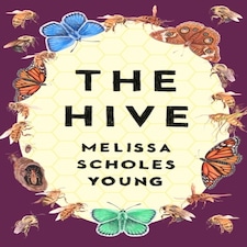 Hive