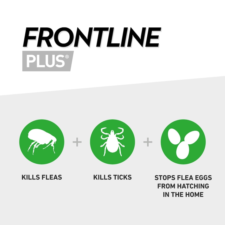 image 1 of Frontline Plus Spot On - 6 Pipettes / Medium Dog 10-20kg