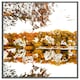 image 1 of Autumn lake (Picture Frame) Grey | XL