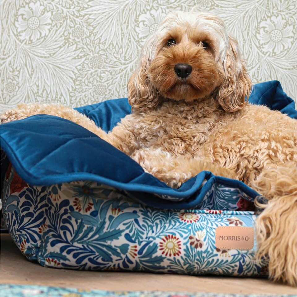 image 1 of Morris & Co Bower Print Square Box Dog & Cat Blanket Blue | One Size