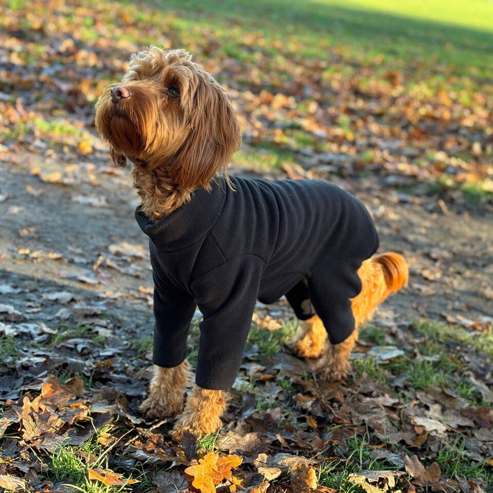 image 1 of Four Legged Dog Fleece - L / Black Black | L