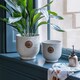 image 3 of Kew Leaf Embossed Cork Planter - Ceramic - L18 x W18 x H18 cm - Ivory White