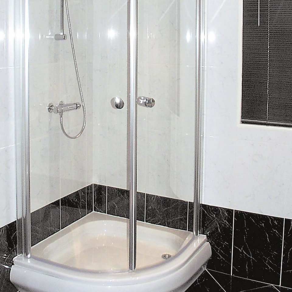 image 1 of HG Shower Screen Protector 250ml