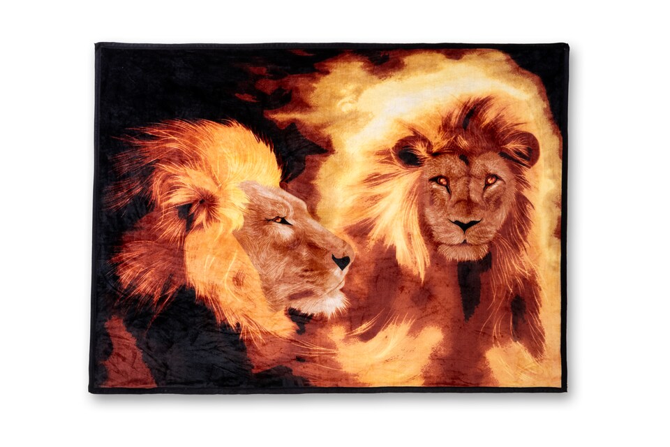 image 1 of Lion Print Fleece Blanket Animal Throw, Soft Warm Cosy Blanket Throw 200x240cm | Multi