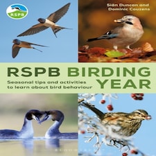 Rspb Birding Year