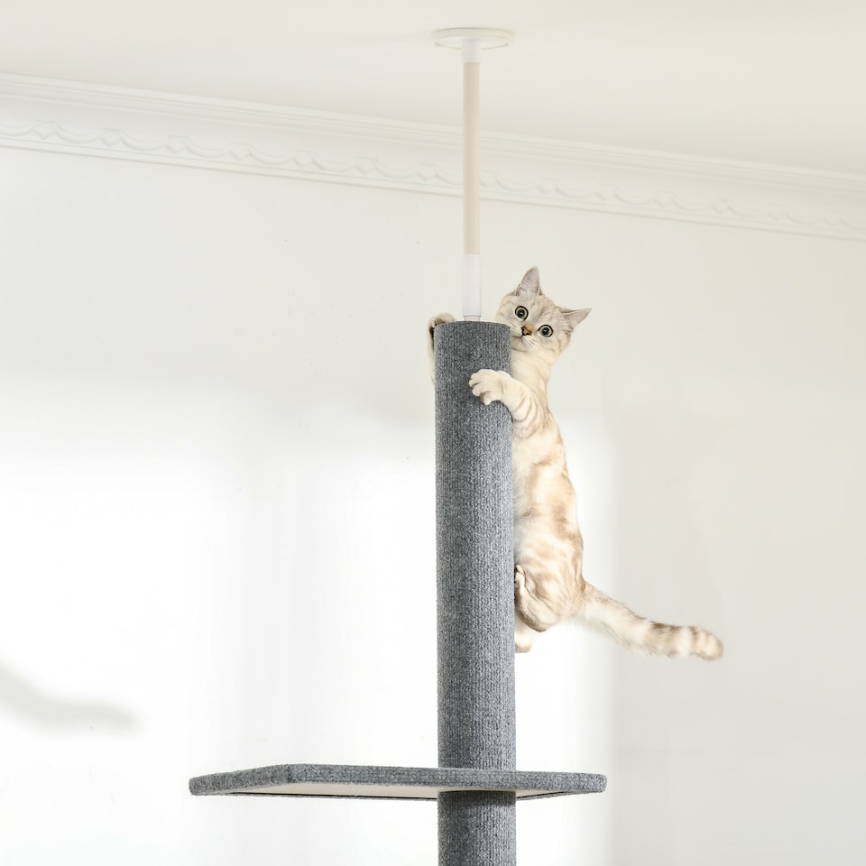image 1 of PawHut 260cm Cat Tree Floor To Ceiling Adjustable Height