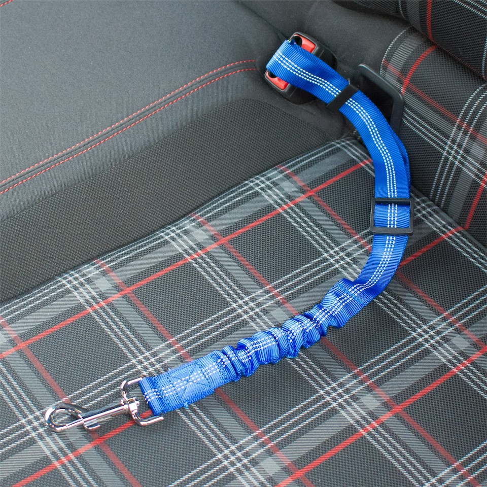 image 1 of KCT Blue Car Seatbelt for Dogs - 2 Pack Blue | L