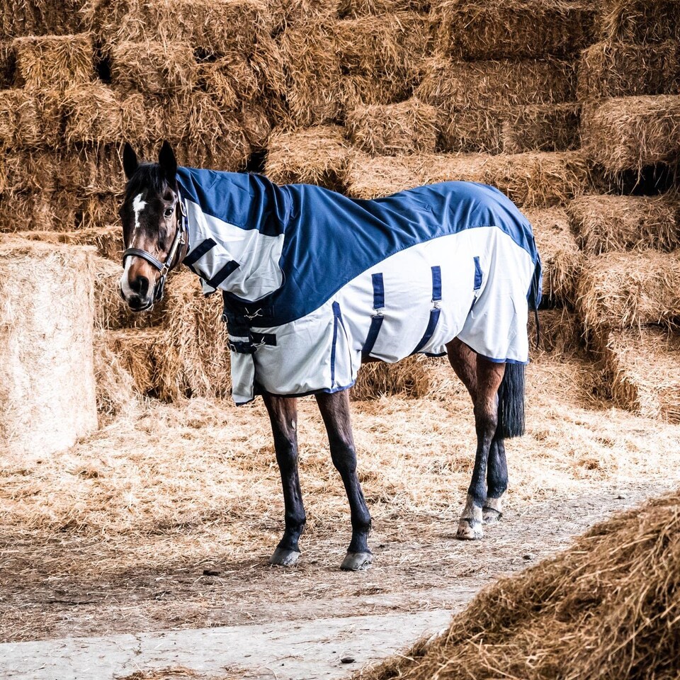 image 1 of eQuitack 600D 2 in 1 Waterproof Fly Turnout Mesh Horse Rug Fixed Neck Navy/Silver 6'0''