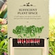 image 3 of Outsunny Garden Wooden Planter Flower Raised Bed Herb Grow Box Container